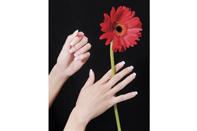 Contessa Winners 2006 - present  [Canada’s Nail Art Awards]