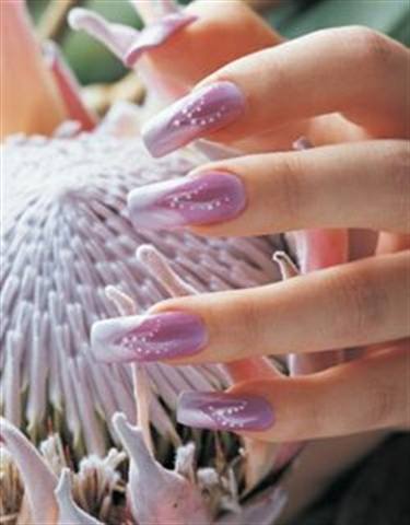 NAILS Cover Tech Contest - Years 2001 to 2003