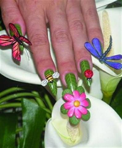 NAILS Cover Tech Contest - Years 2007 & 2008