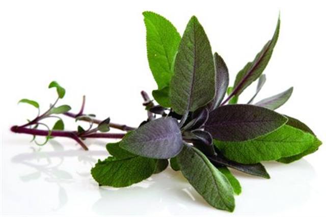 Acquaint Yourself with Essential Oils