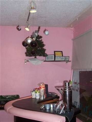 Deck the Salon Halls: A Holiday Decor Gallery
