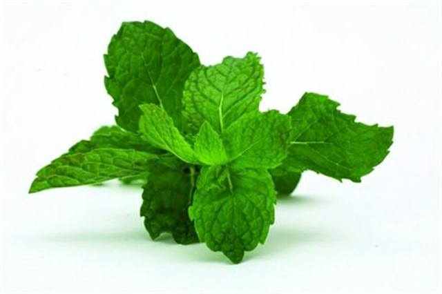 Acquaint Yourself with Essential Oils