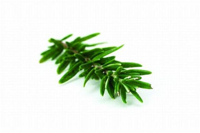 Acquaint Yourself with Essential Oils