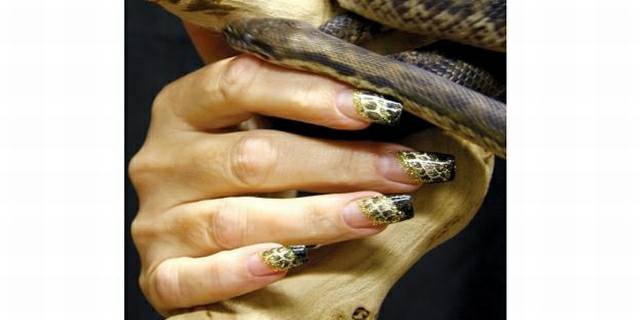Contessa Winners 2006 - present  [Canada’s Nail Art Awards]