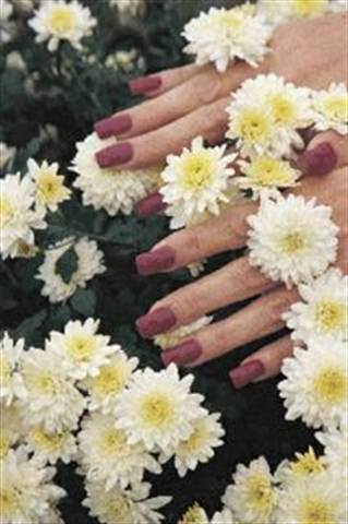 NAILS Cover Tech Contest - Years 2001 to 2003