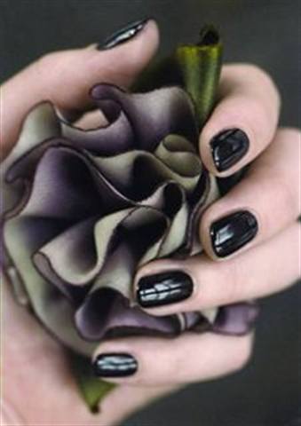NAILS Cover Tech Contest - Years 2007 & 2008