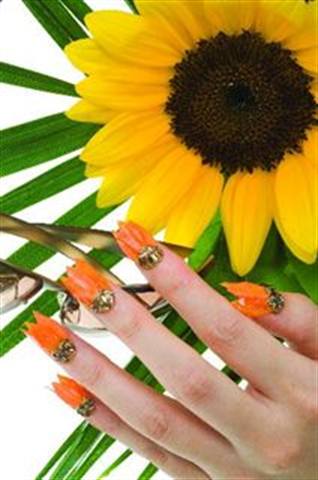NAILS Cover Tech Contest - Years 2007 & 2008