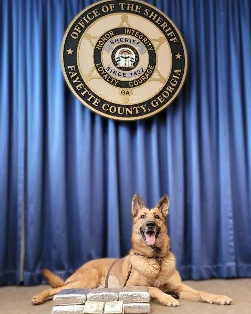 Police K-9 Sniffs Out $700K in Cocaine