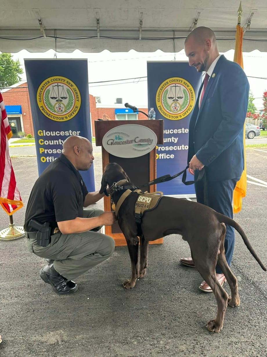 NJ Department Adds K9 Trained to Sniff Out Child Porn