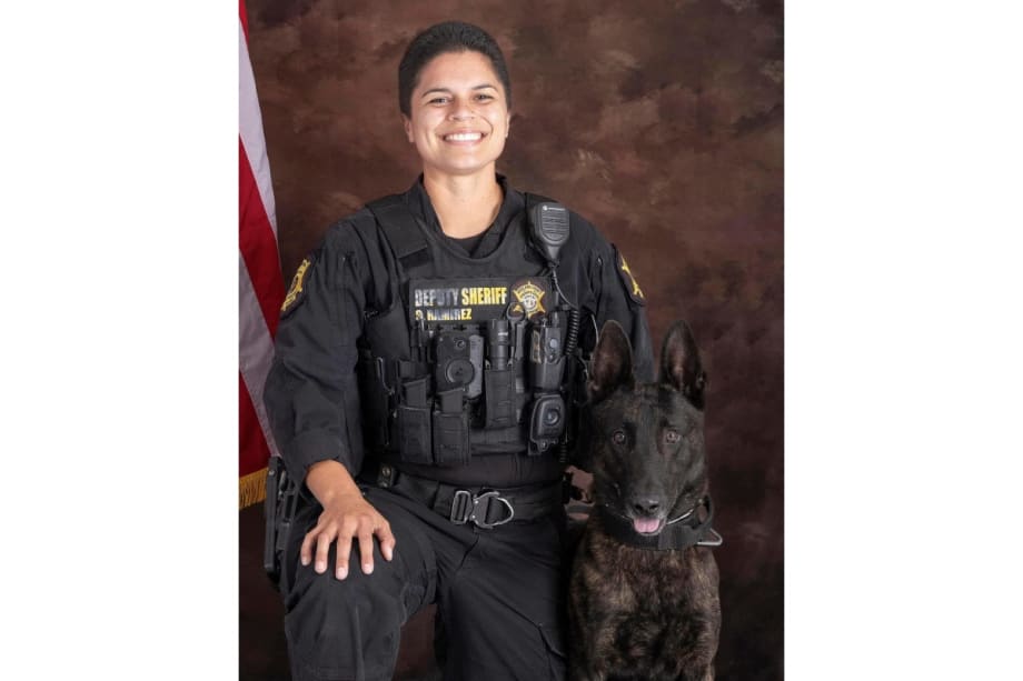 South Carolina Sheriff’s K-9 Dies After Suffering Pursuit Injuries