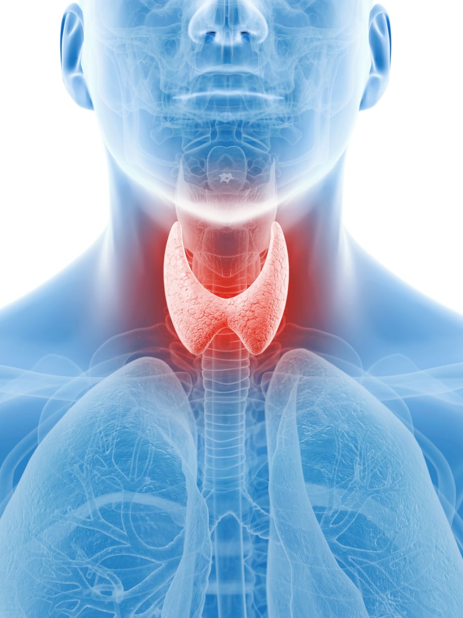 January is Thyroid Awareness Month