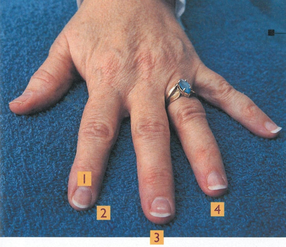 Custom Built Nails