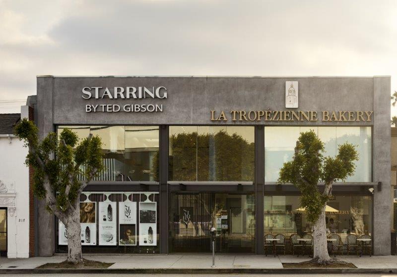 2020 Salons of the Year: Starring by Ted Gibson