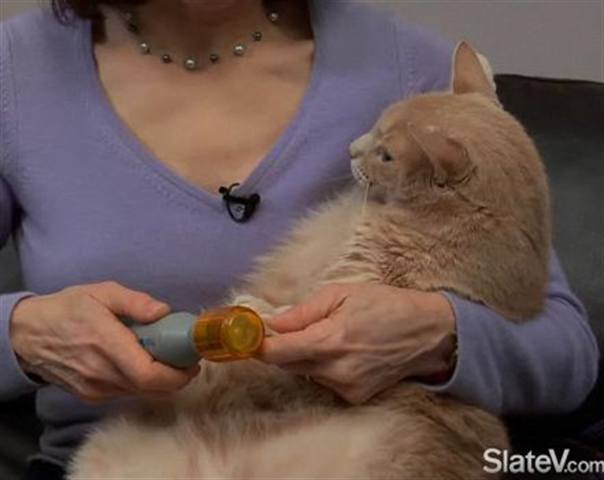 As Spun on TV - PediPaws