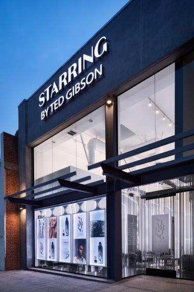 2020 Salons of the Year: Starring by Ted Gibson