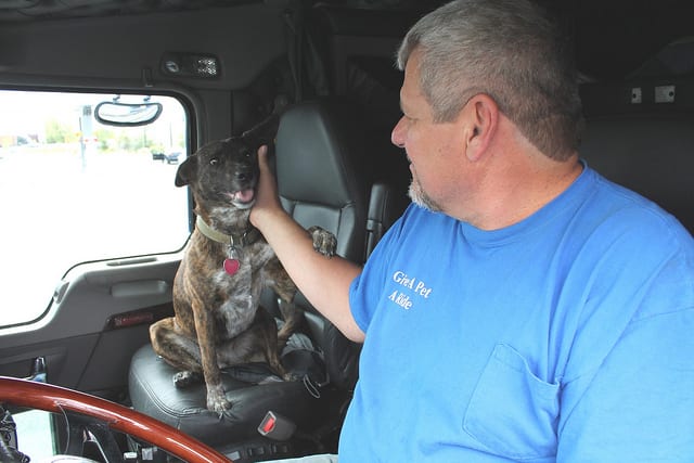 Flatbed Trucker Delivers Not Only Oversized Loads, But Also Pets to New Homes
