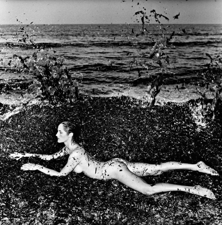 A Photographer's Eye: What Stylists Can Learn From Iconic Photographs