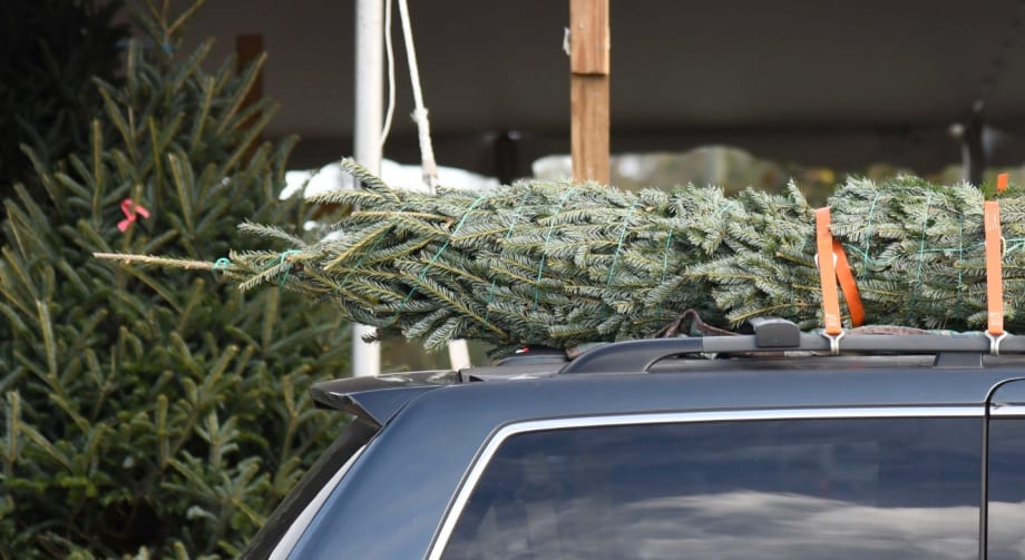AAA Offers Advice for Transporting Christmas Trees