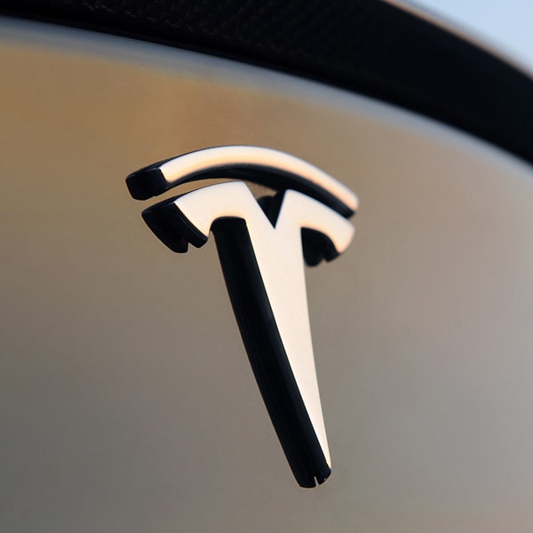 Tesla vs. Franchise: Weighing the Pros and Cons