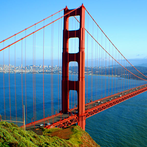 Top 5 States for New Dealerships