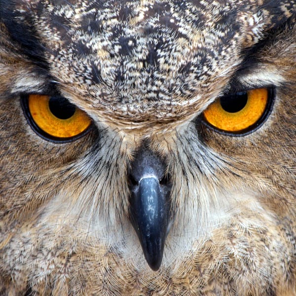 Are Your Customers Smarter Than Your Salespeople?