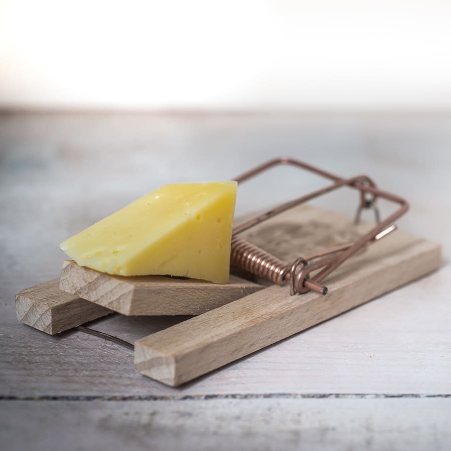 Lessons Without the Pain