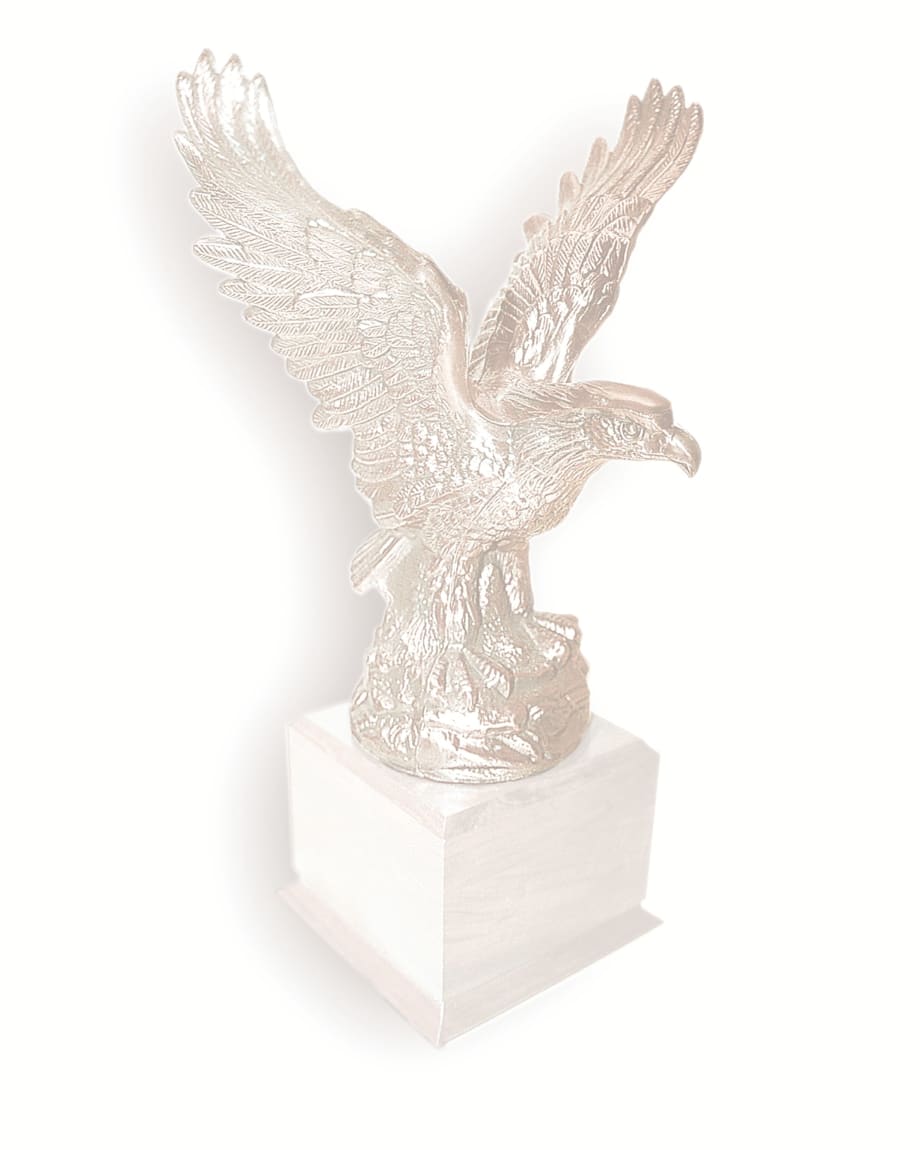 17 Vie for 2011 Professional Fleet Manager of the Year Award