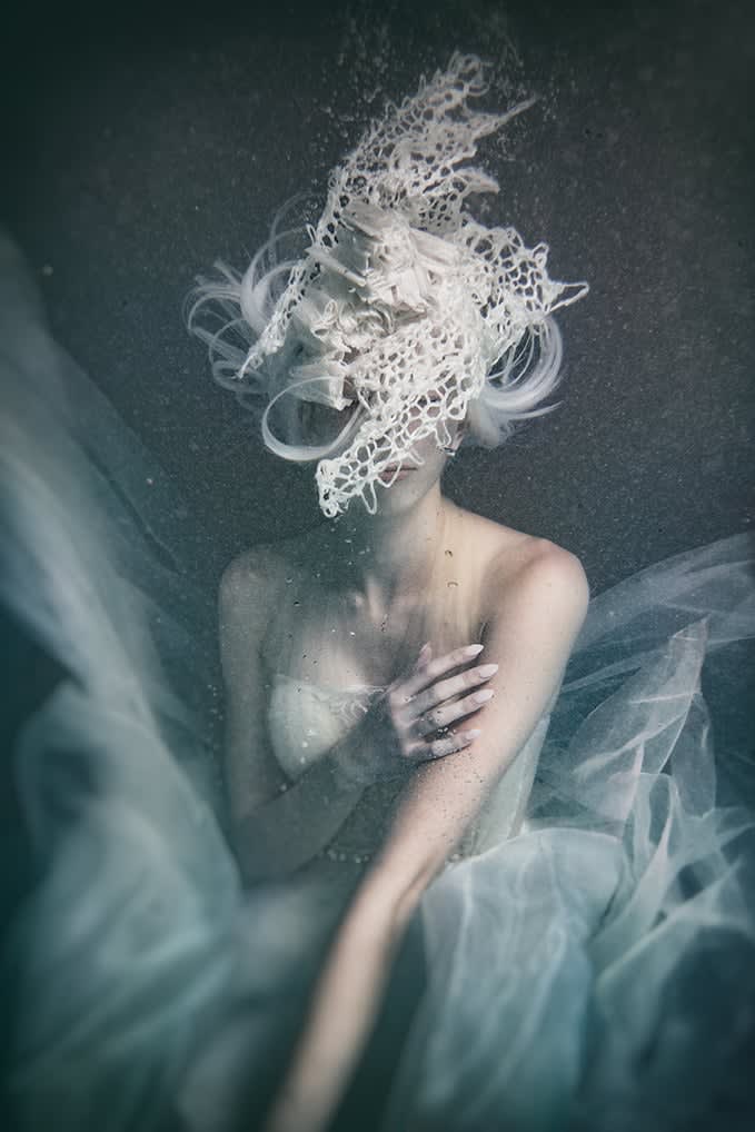 2017 NAHA FINALISTS: Avant Garde