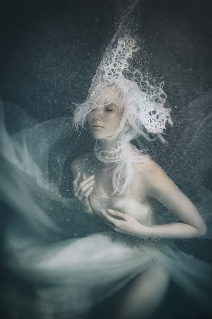 2017 NAHA FINALISTS: Avant Garde