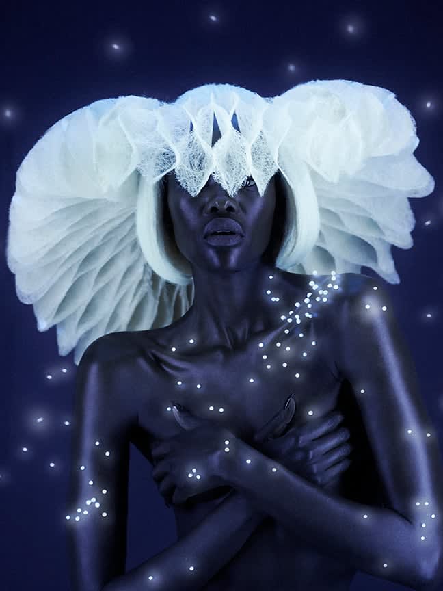 2017 NAHA FINALISTS: Avant Garde