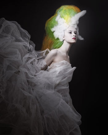 NAHA 2010 "Avant Garde" Finalists