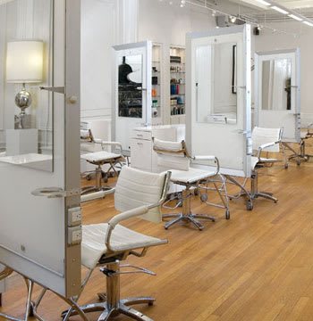 Salons of the Year 2010: Judges & Process