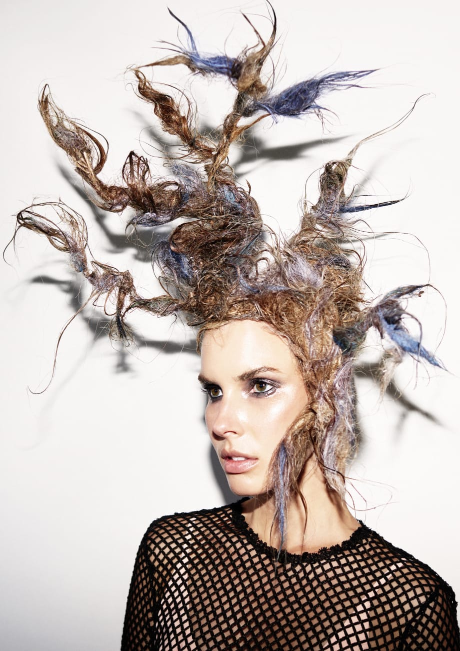 Take a Walk on the Wild Side with "The Wilderness" Collection