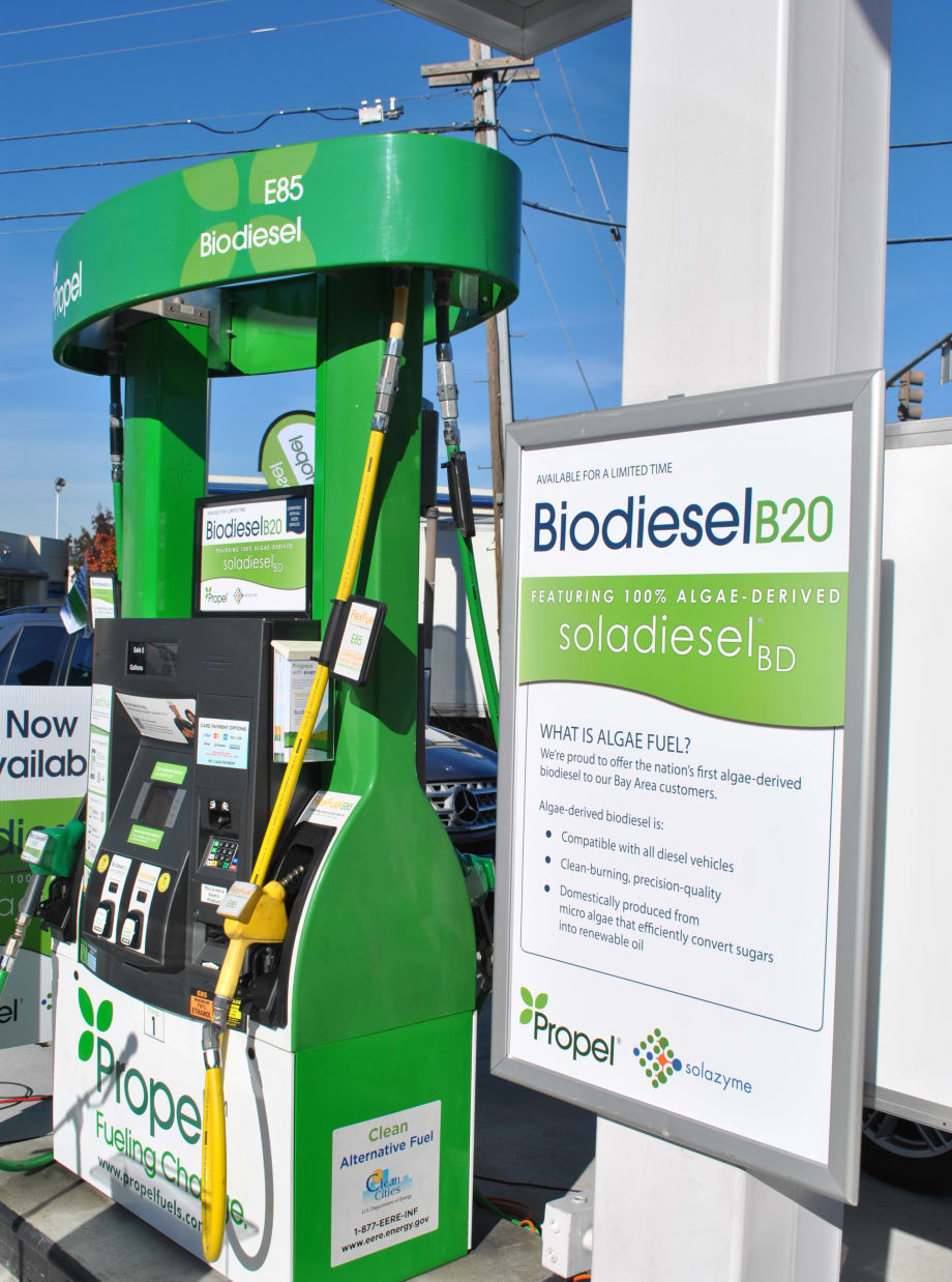 Companies Report Success for Algae Biodiesel Pilot Project