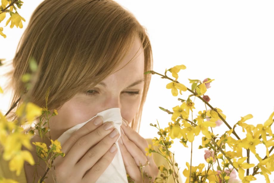 An Itch for Info in Allergy Season
