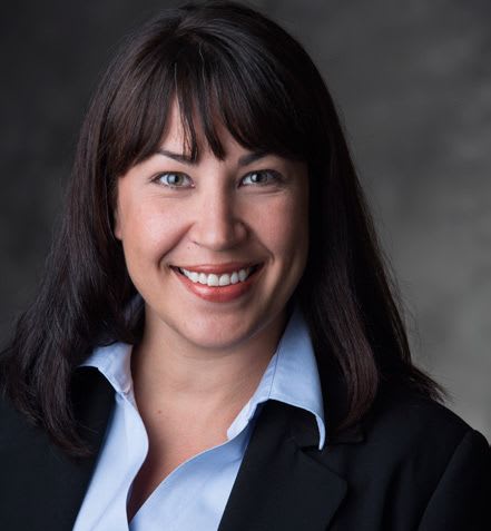 AmeriFleet Expands Sales Director's Role