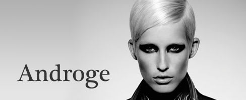 Androge: Cosmetologists Chicago