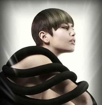 2011 NAHA Finalists - Master Hairstylist