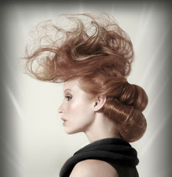 2011 NAHA Finalists - Master Hairstylist