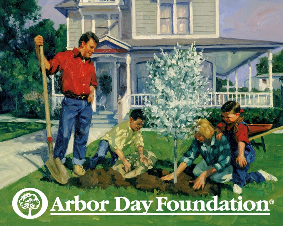 Enterprise Funds Planting of 9 Million Trees