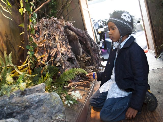 New 'art bus' exhibit teaches kids on river habitat