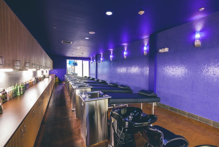 Salons of the Year 2016: Aveda Institute Chapel Hill