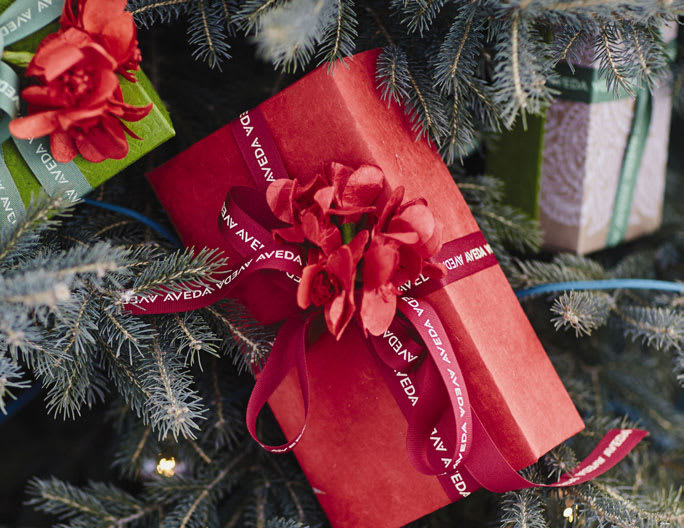 Aveda Limited Edition 2017 Holiday Gift Sets