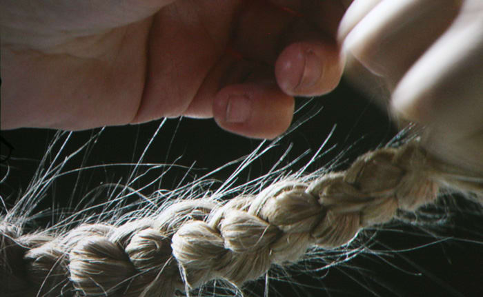 Photo Feature #1 of the Aveda Congress