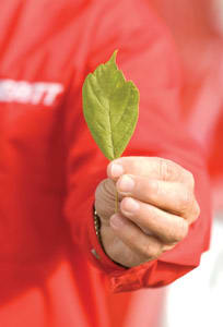 Sustainability Initiatives Have Not Slowed from Last Year