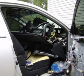 Bear Damages Rental Car