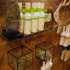 The Eco Edge: Consumers Seeking "Green" Services and Products