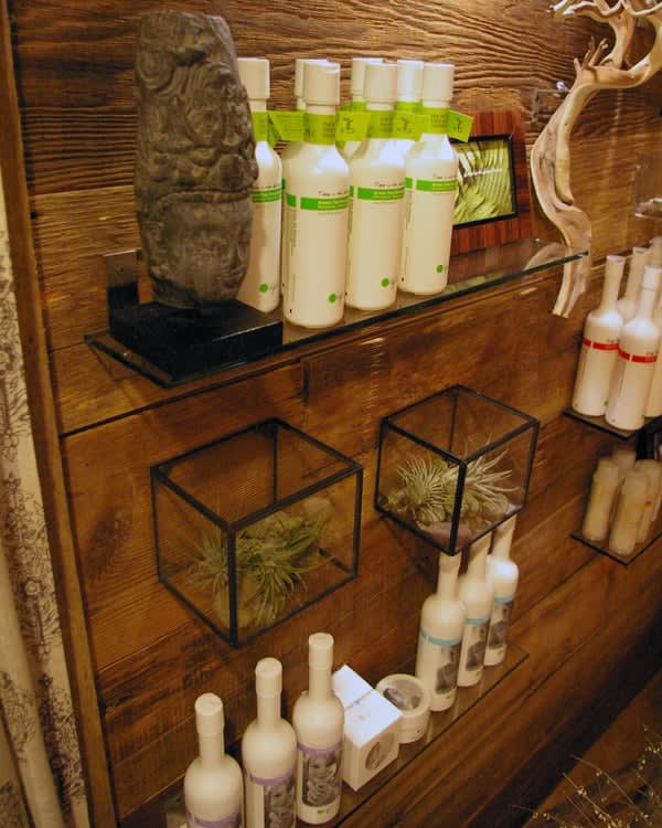The Eco Edge: Consumers Seeking "Green" Services and Products