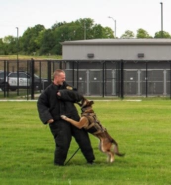 How to Pick the Right K-9 Handler