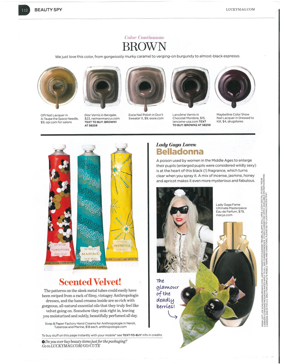 Color Continuum: Brown